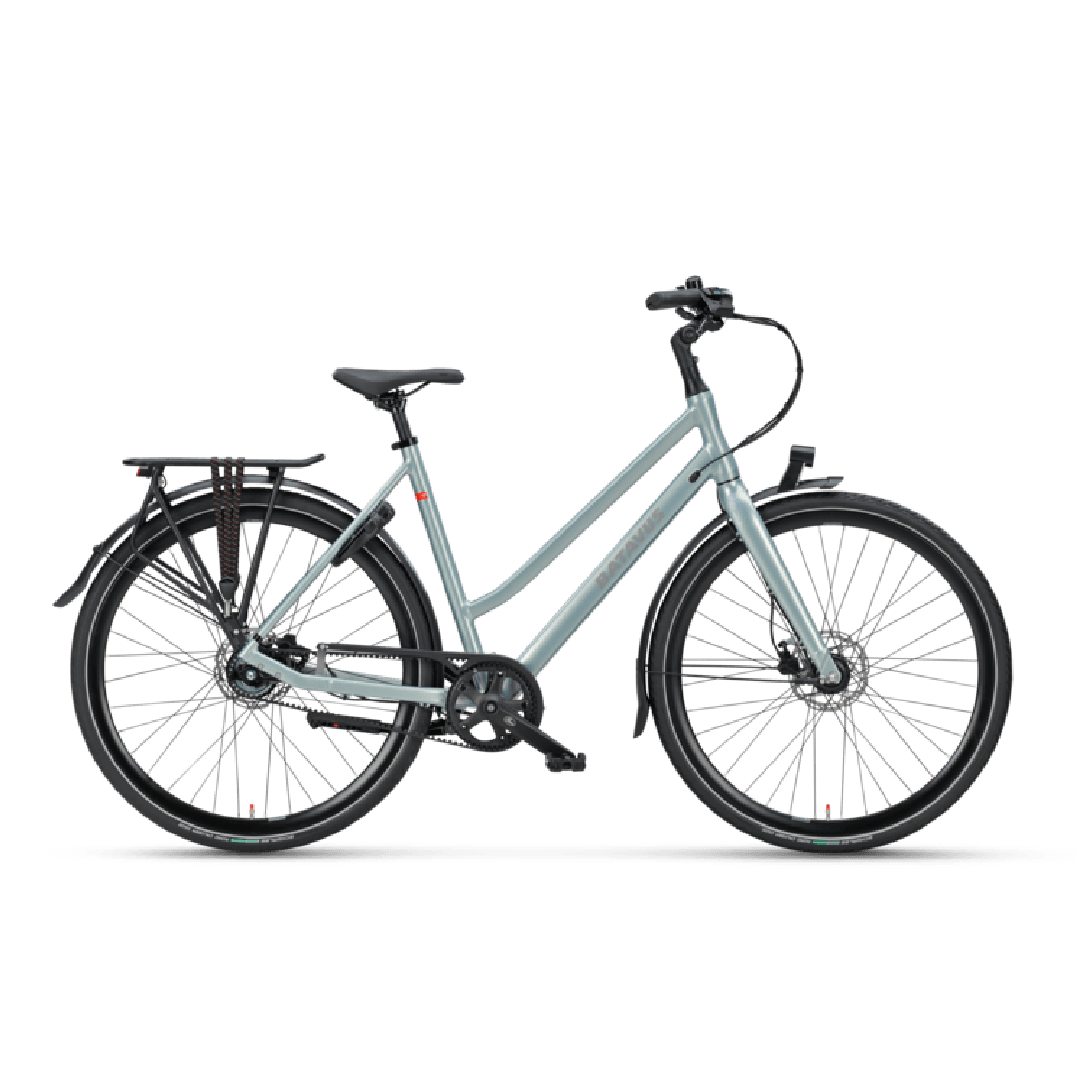 Batavus bike deals