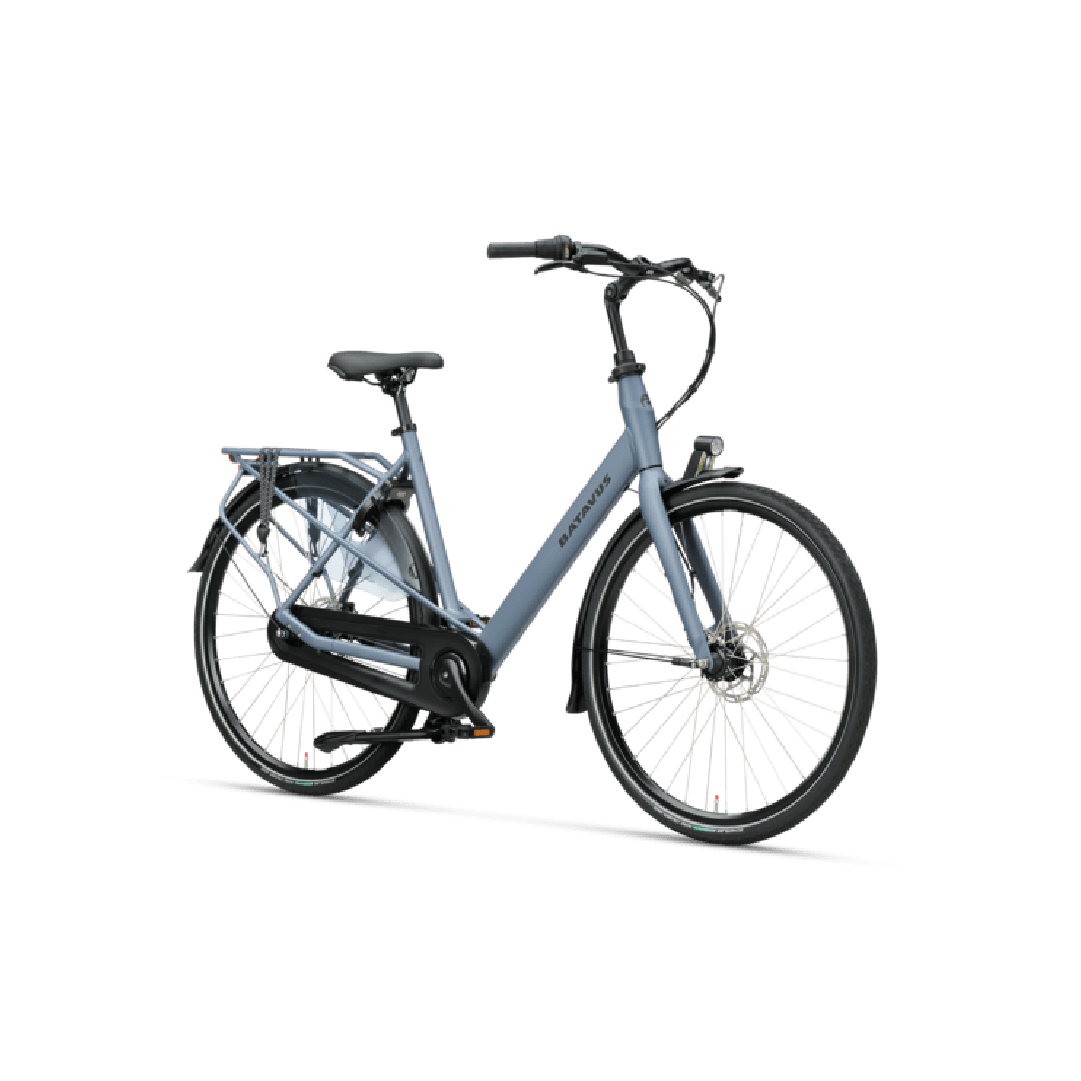 Batavus Mambo Women's 7 Gray Matt