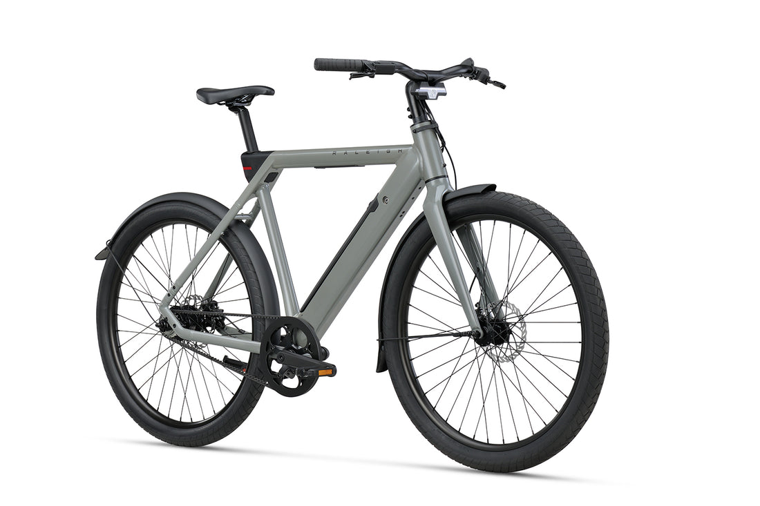 Raleigh One SAGE GREY