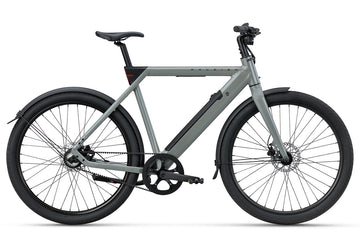 Raleigh One SAGE GREY